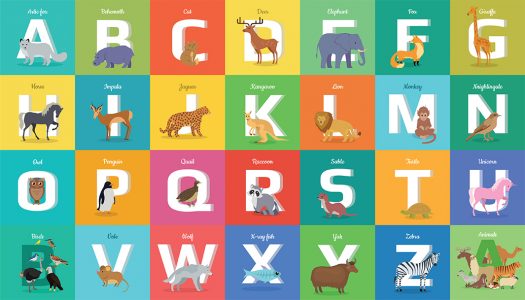 Animal Alphabet Chart